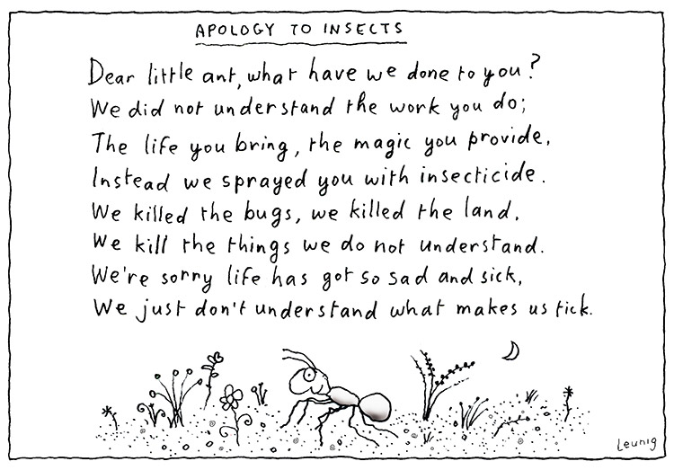 apology to insects