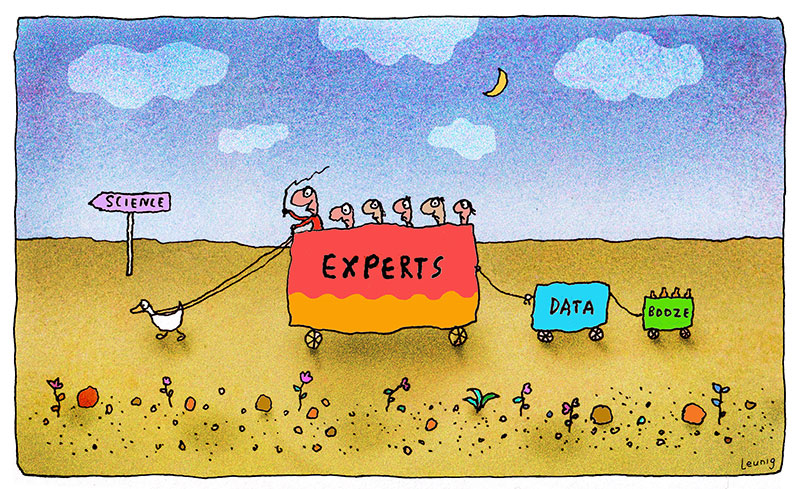 experts w